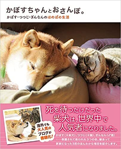 51o0pyrjsl-_sx404_bo1204203200_-9732885