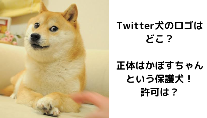 e382a2e382a4e382ade383a3e38383e38381-9499959