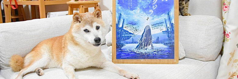 kabosu-5858256