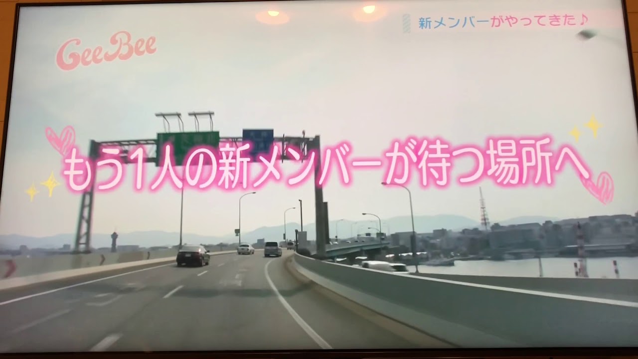 1761868866_maxresdefault-4104318-8010539-jpg