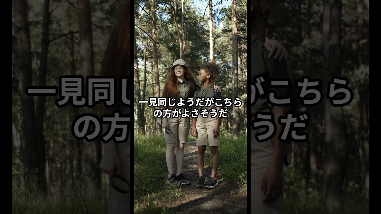 1767070825_maxresdefault-5061054-1675035-jpg